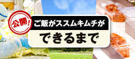 ご飯がススムキムチができるまで