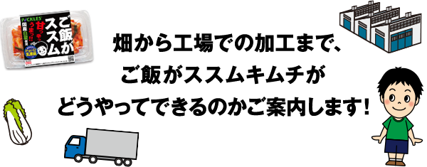 畑から工場での加工まで、ご飯がススムキムチがどうやってできるのかご案内します！
